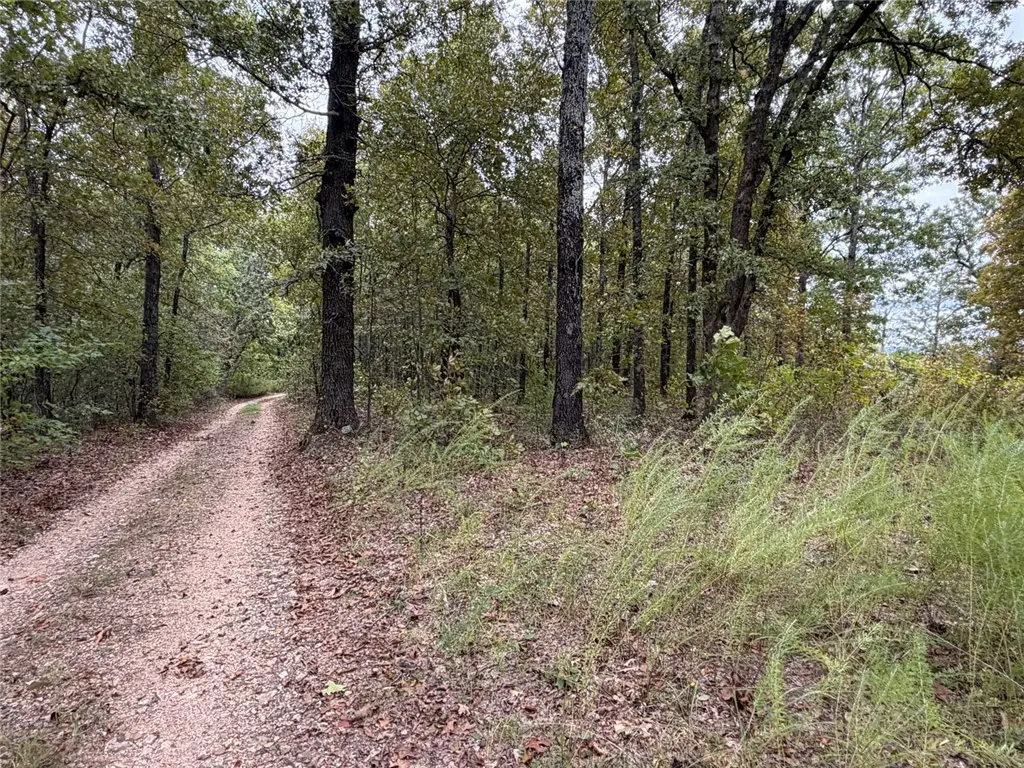 Minnow Road, Saint Joe, AR 72675 - #1