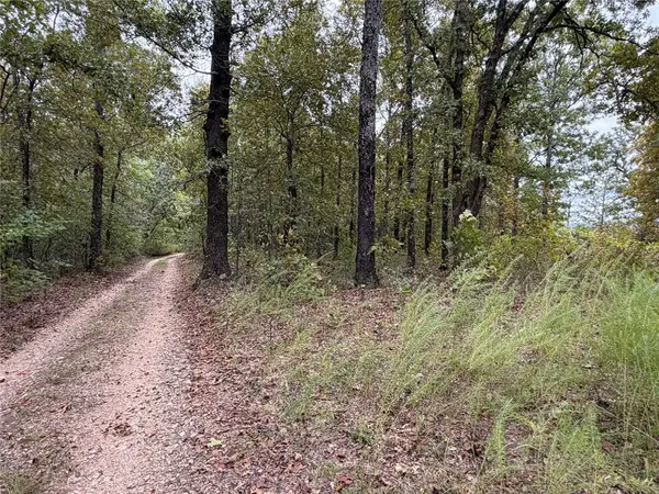 Minnow Road, St Joe, AR 72675