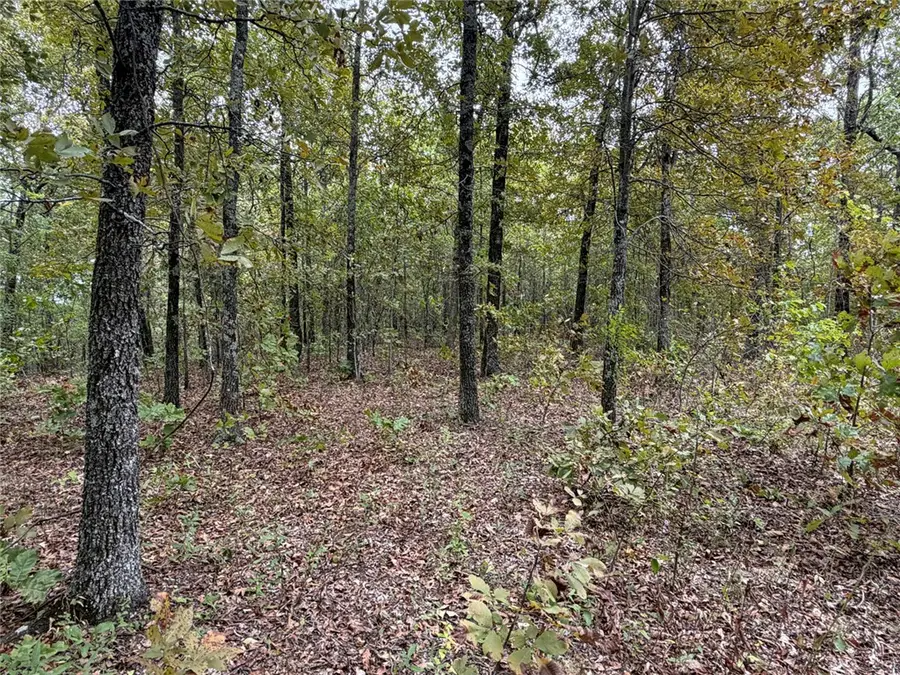 Minnow Road, Saint Joe, AR 72675 - #2