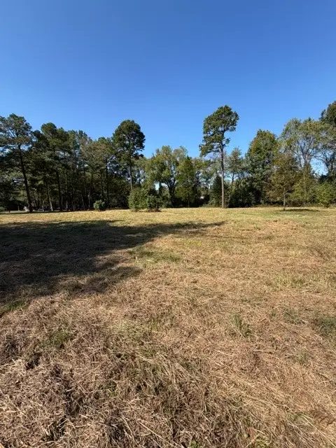 395 Crossgate Drive, Russellville, AR 72802 - #2