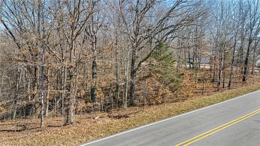 Lot 1 Tarbolten Lane, Bella Vista, AR 72715 - #3