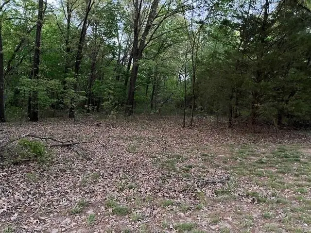 13668 Tally Gate, Springdale, AR 72762 - #1