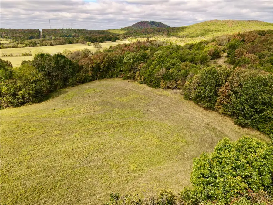 County Road 633, Berryville, AR 72616 - #2