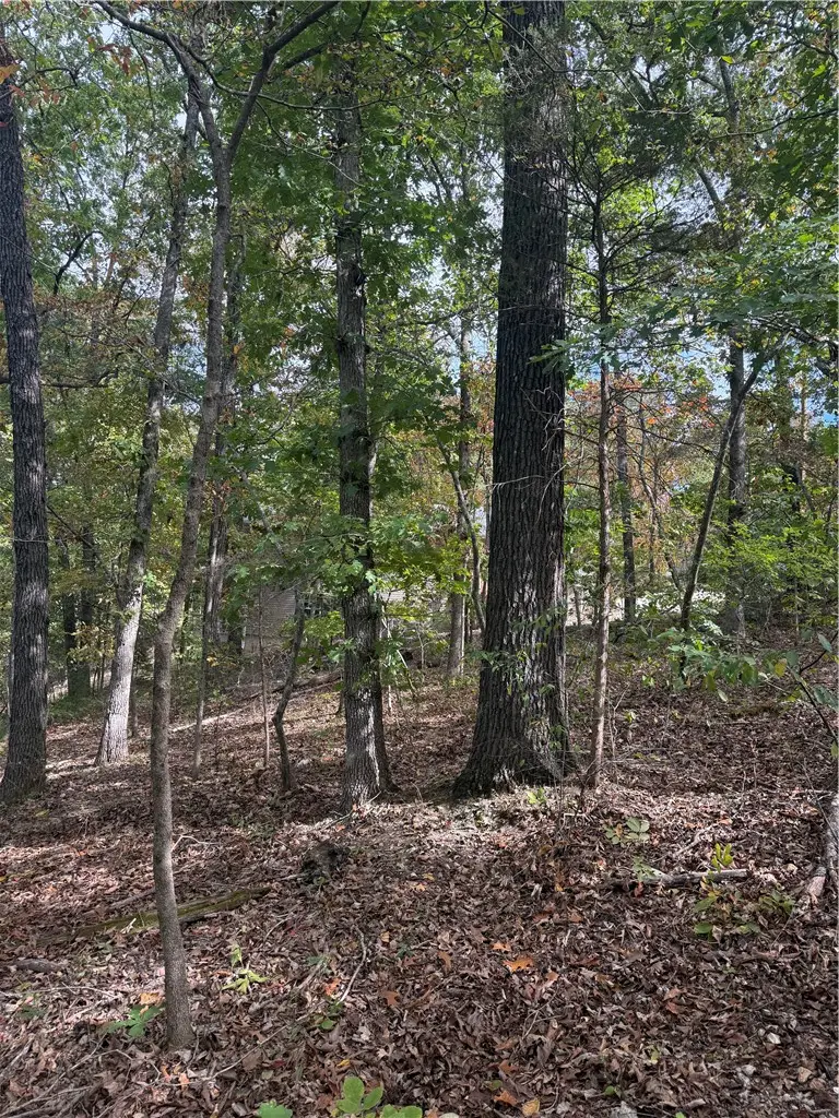 18 Hessle Circle, Bella Vista, AR 72714 - #3