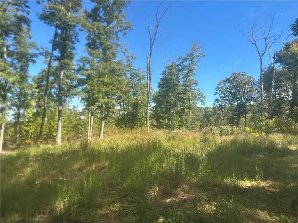 TBD 001-07105-004 -, Kingston, AR 72742 - #1