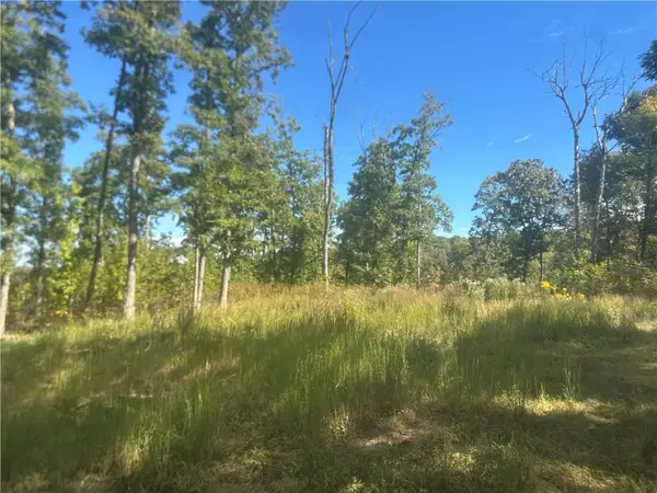 TBD 001-07105-004 -, Kingston, AR 72742