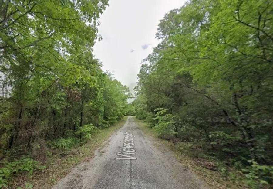 217 Vicksburg Drive, Horseshoe Bend, AR 72512 - #2