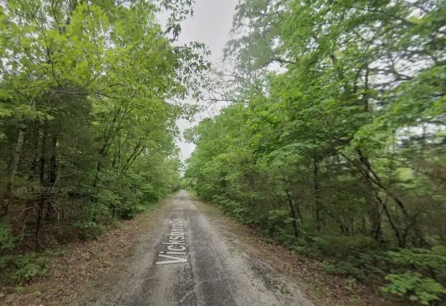 217 Vicksburg Drive, Horseshoe Bend, AR 72512 - #3