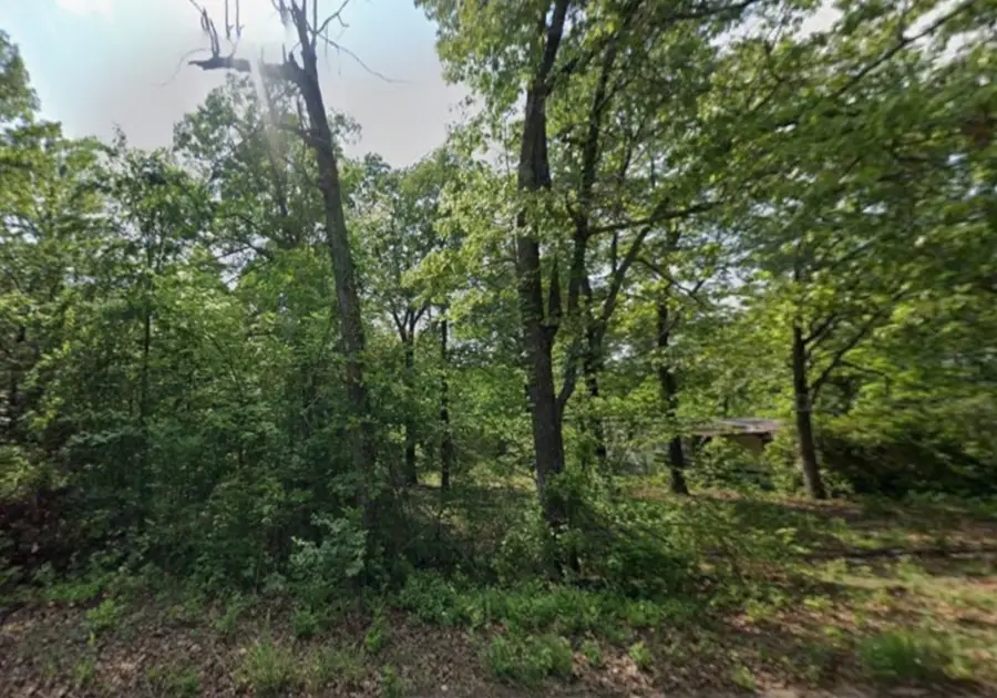 1307 W Ridge Circle, Horseshoe Bend, AR 72512 - #2