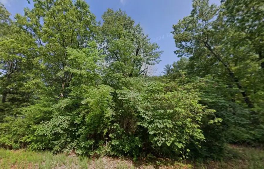 Lot 86 Ridge Circle, Horseshoe Bend, AR 72512 - #2
