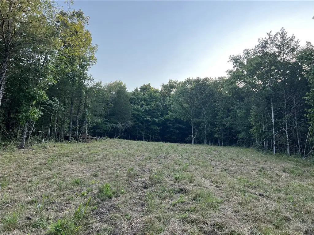 Tract UU Cedar Creek Drive, Harrison, AR 72601 - #1