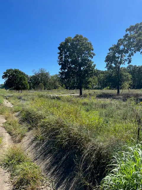 3847, 3907, 3929, Lot 3 E Robinson Avenue, Springdale, AR 72764 - #1