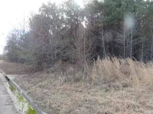 000 Dunwood Drive, Clarksville, AR 72830