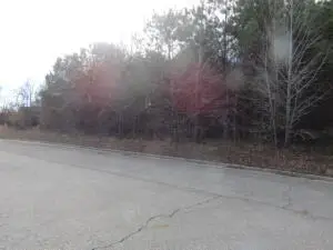 000 Dunwood Drive, Clarksville, AR 72830 - #3