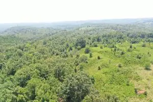 4292 Tomahawk Slab Road, Tomahawk, AR 72675 - #1