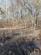 1 3512 Cr Tract 1, Spadra, AR 72830 - #1