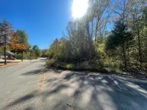 Lot A Valentina Street, Clarksville, AR 72830 - #1