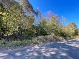 Lot A Valentina Street, Clarksville, AR 72830 - #2