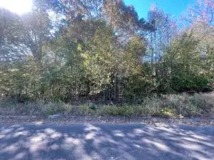 Lot A Valentina Street, Clarksville, AR 72830 - #3