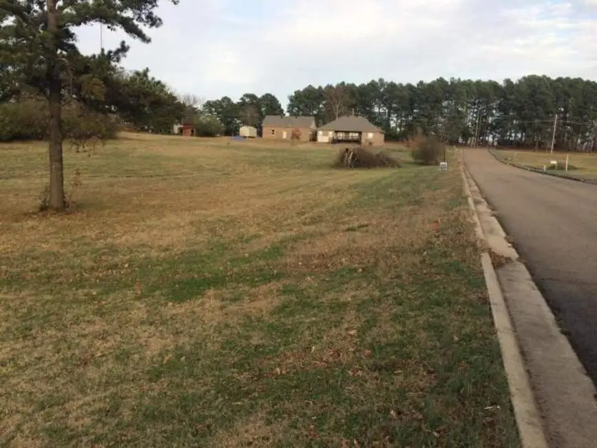 Lot 2A & B Marissa, Russellville, AR 72801 - #2