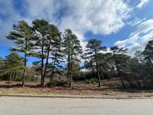 702 Castlegate Loop, Russellville, AR 72802 - #1
