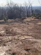 0000 Crow Mountain Road, Atkins, AR 72823 - #1