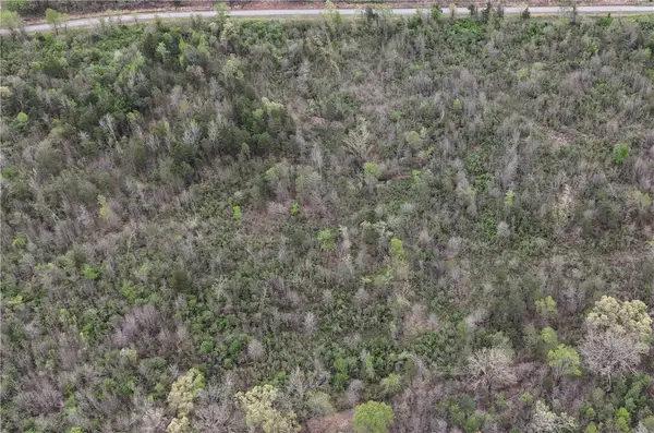 11.32 acre County Road 2228 (a), Hartman, AR 72840