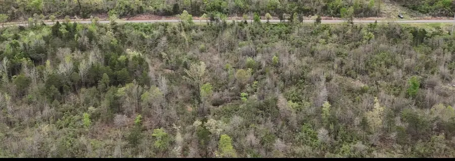 11.32 acre County Road 2228 (a), Hartman, AR 72840 - #2