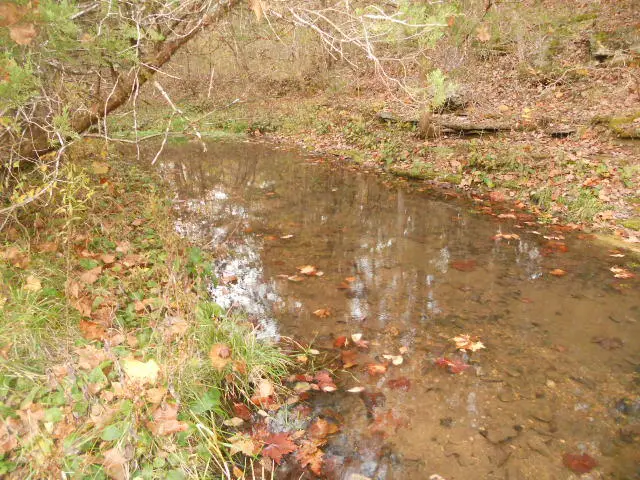 Mt Hershey, Western Grove, AR 72685 - #1