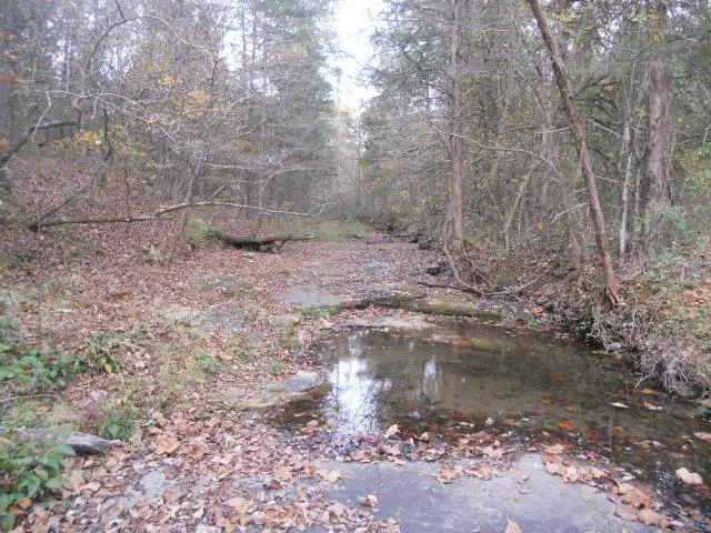 Mt Hershey, Western Grove, AR 72685 - #2