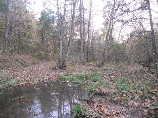 Mt Hershey, Western Grove, AR 72685 - #3