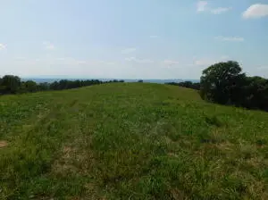 Mt Hersey Road, Western Grove, AR 72685 - #1