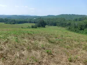Mt Hersey Road, Western Grove, AR 72685 - #2