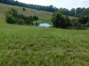 Mt Hersey Road, Western Grove, AR 72685 - #3