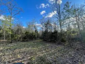 6.9 acres Hwy 125 S, Peel, AR 72668 - #1