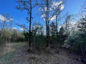 6.9 acres Hwy 125 S, Peel, AR 72668 - #2