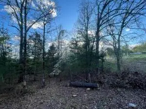 6.9 acres Hwy 125 S, Peel, AR 72668 - #3