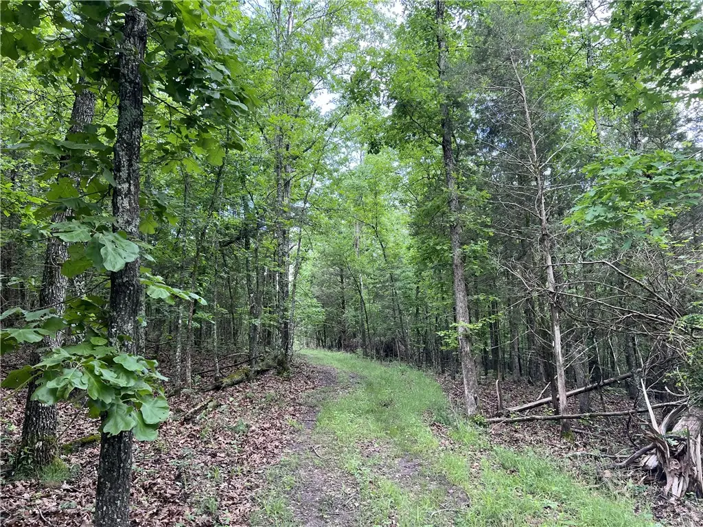 14.94 Acres On Meadow Creek Drive, Harrison, AR 72601 - #1