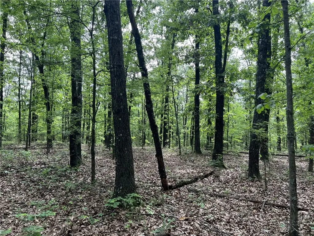 8.72 Acres On Meadow Creek Drive, Harrison, AR 72601 - #1