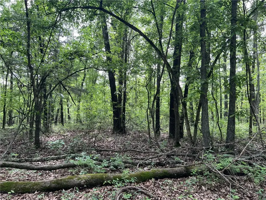 8.72 Acres On Meadow Creek Drive, Harrison, AR 72601 - #2