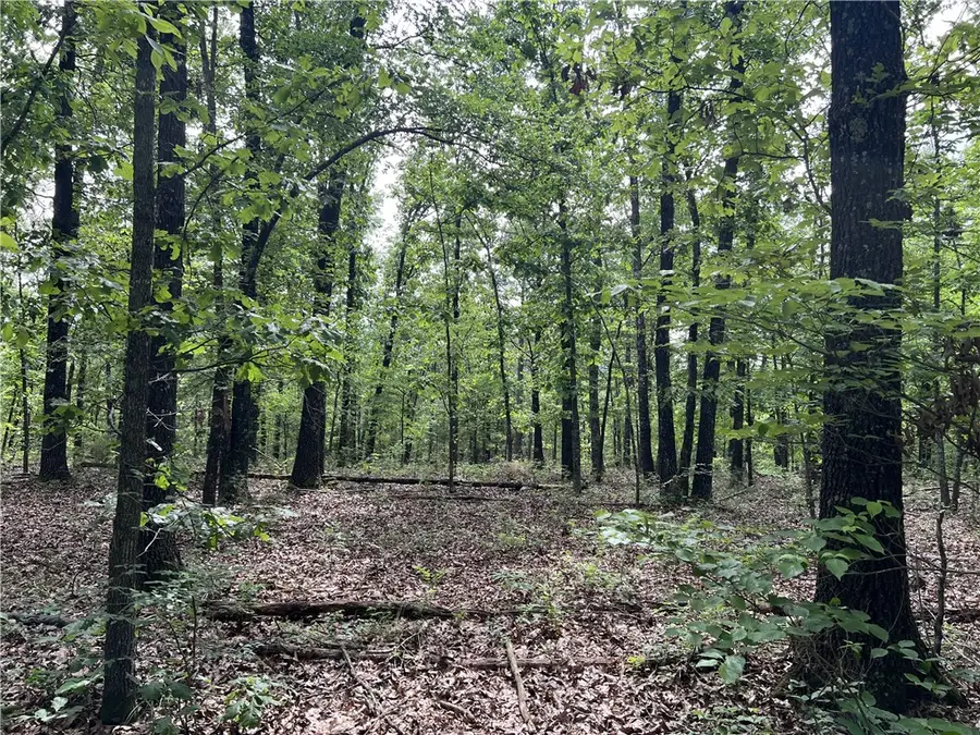 8.72 Acres On Meadow Creek Drive, Harrison, AR 72601 - #3
