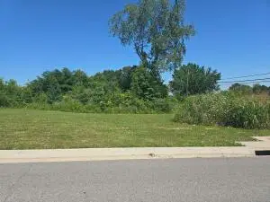 Lot 1 Cornerstone Way, Harrison, AR 72601 - #2