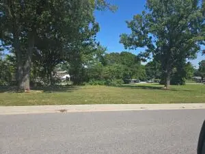 Lot 4 Cornerstone Way, Harrison, AR 72601 - #2