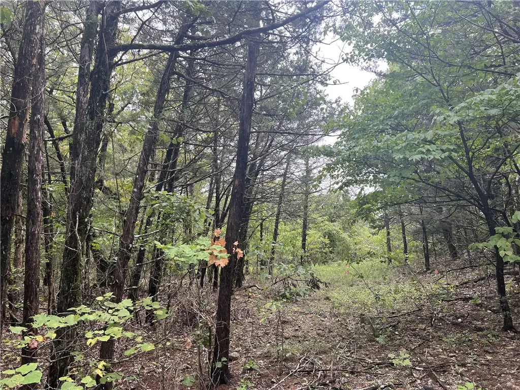 Grassy Gap Road, Harrison, AR 72601 - #1