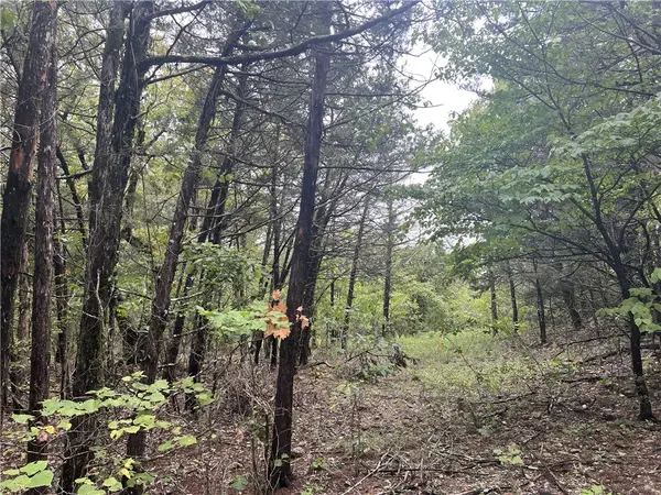 Grassy Gap Road, Harrison, AR 72601