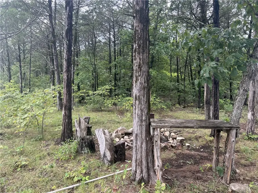 Grassy Gap Road, Harrison, AR 72601 - #3