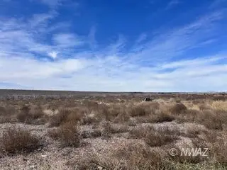 Coyote, Littlefield, AZ 86432 - #1