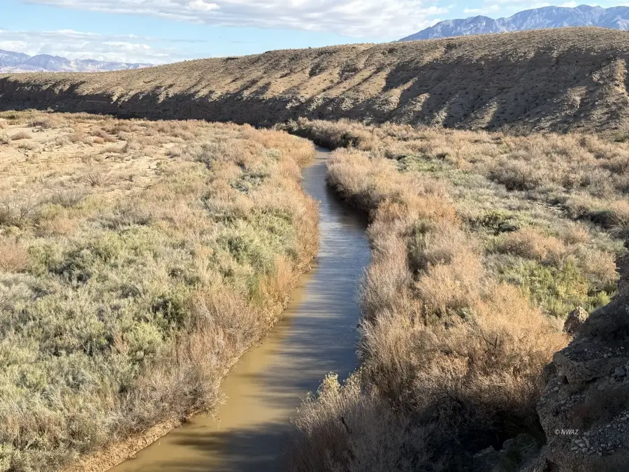 1587 E Cliff Cove Ln, Littlefield, AZ 86432 - Image #2