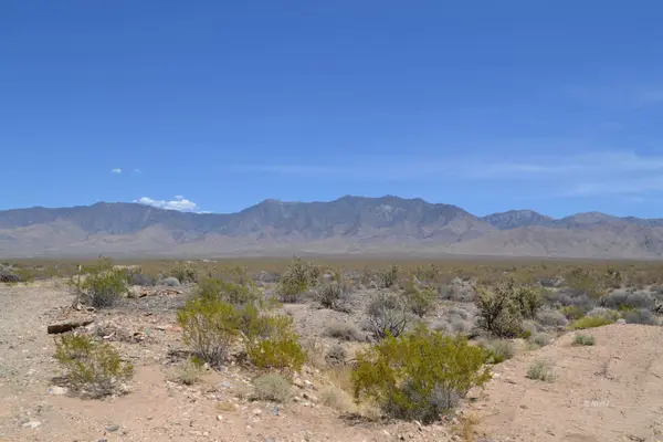 East Of Frehner Rd, Littlefield, AZ 86432
