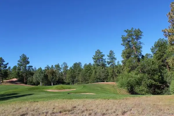 201 S Rim Club Drive, Payson, AZ 85541